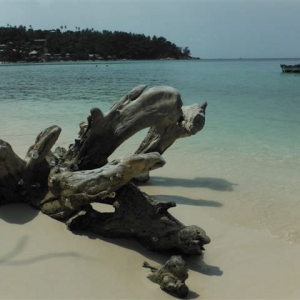 Salad Beach