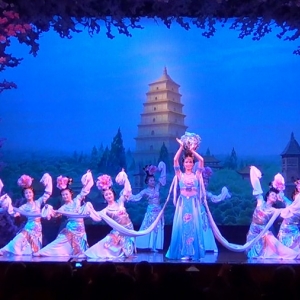 TANG DYNASTY MUSIC AND DANCE SHOW3