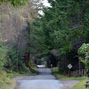 THE ROAD TO LOCH NESS