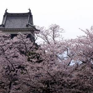 matsumoto castle