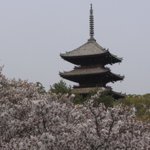 kyoto