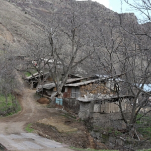 Yeghegis