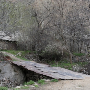 Yeghegis
