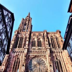 la cathédrale notre-dame de strasbourg