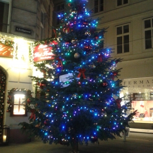 An actual Christmas Tree