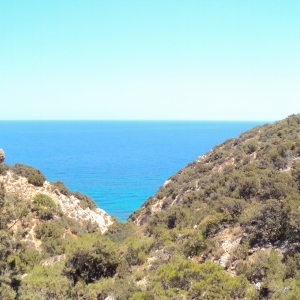 Tripiti through the Hills