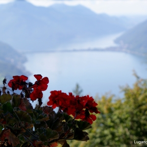 Lugano lake from Monte Bre