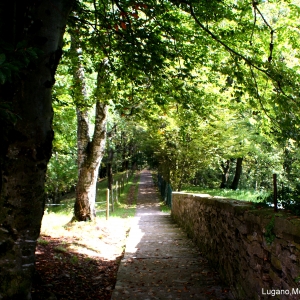 Lugano,Monte Bre walks