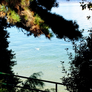 Garda lake,Sirmione castle bank