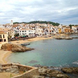 callela parafugel