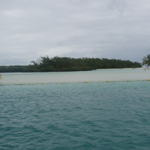 Il aux cerf island - Mauritius