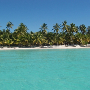 Saona Island - Dominican Republic