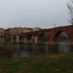 Albi