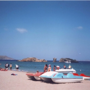 φοινικόδασος Βαι