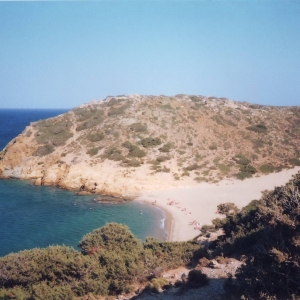 φοινικόδασος Βαι