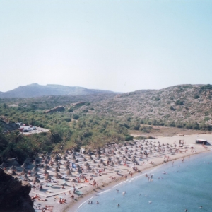 φοινικόδασος Βαι