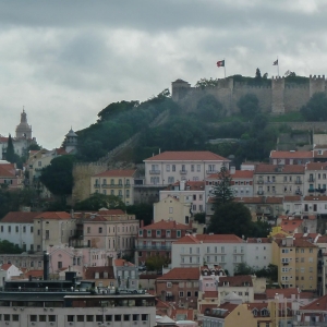 Fom Miradouro de São Pedro de Alcântara - Jardim António Nobr