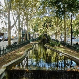 Avenida da Liberdade