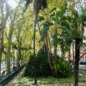 Avenida da Liberdade