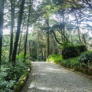 Sintra Natural Park