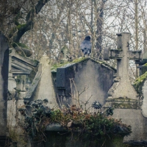 Cimetière du Père-Lachaise / Père Lahaise Cemetery