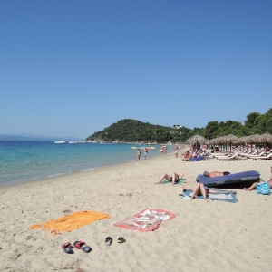 Κουκουναριές