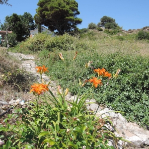 Κάστρο