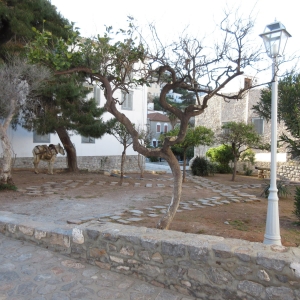 Ύδρα - Πόλη