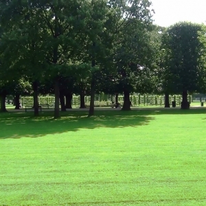 Rosenborg - Kongens Have