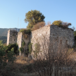 DSCN4718