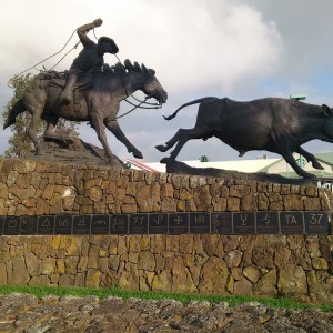 Waimea 1