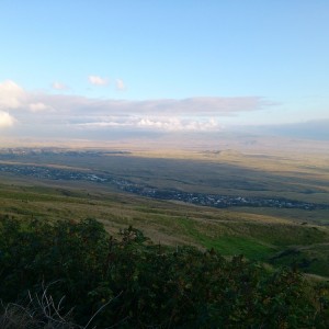 Kohala Mountain Road 3
