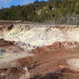 Sulfur Banks 1