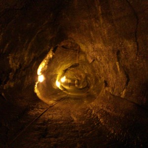 Thurston Lava Tube 1