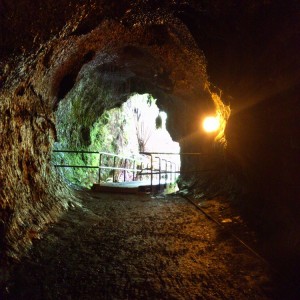 Thurston Lava Tube 2