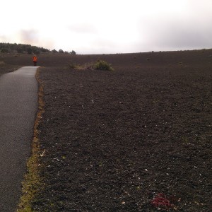 Devastation Trail 1