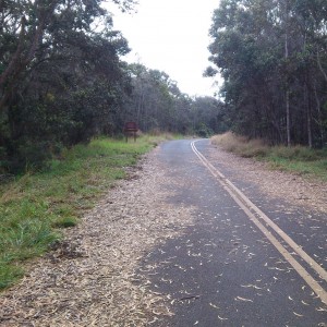 Crater Rim Road 1