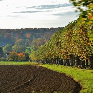 Roadtrip in France