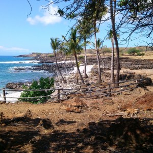 Lapakahi State Park 2