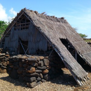 Lapakahi State Park 3