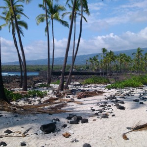 Puuhonua O Honaunau - Alealea Heiau