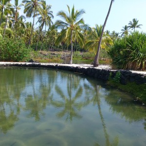 Puuhonua O Honaunau - Fishponds