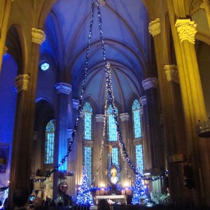 DSC07059