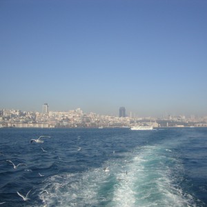 DSC07380