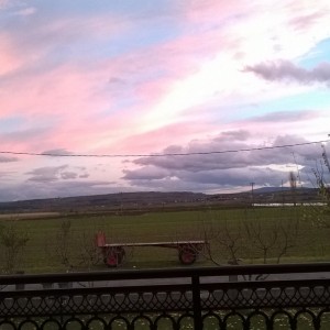 WP_20151128_004
