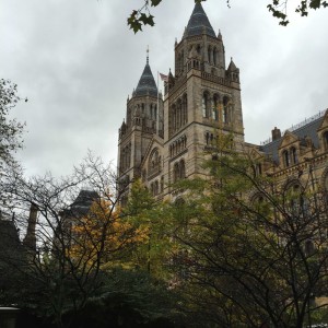 The Natural History Museum