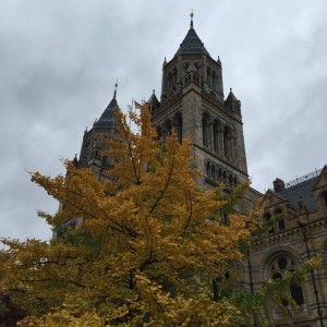 The Natural History Museum