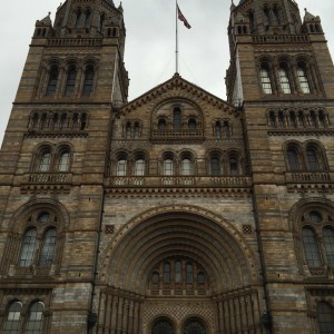 The Natural History Museum