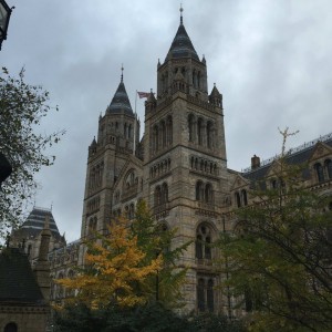 The Natural History Museum