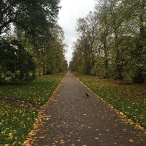 regent's Park